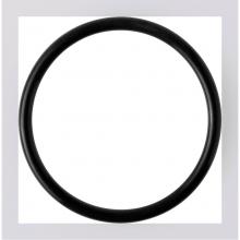 Kohler Genuine Parts K-77642 - O-RING