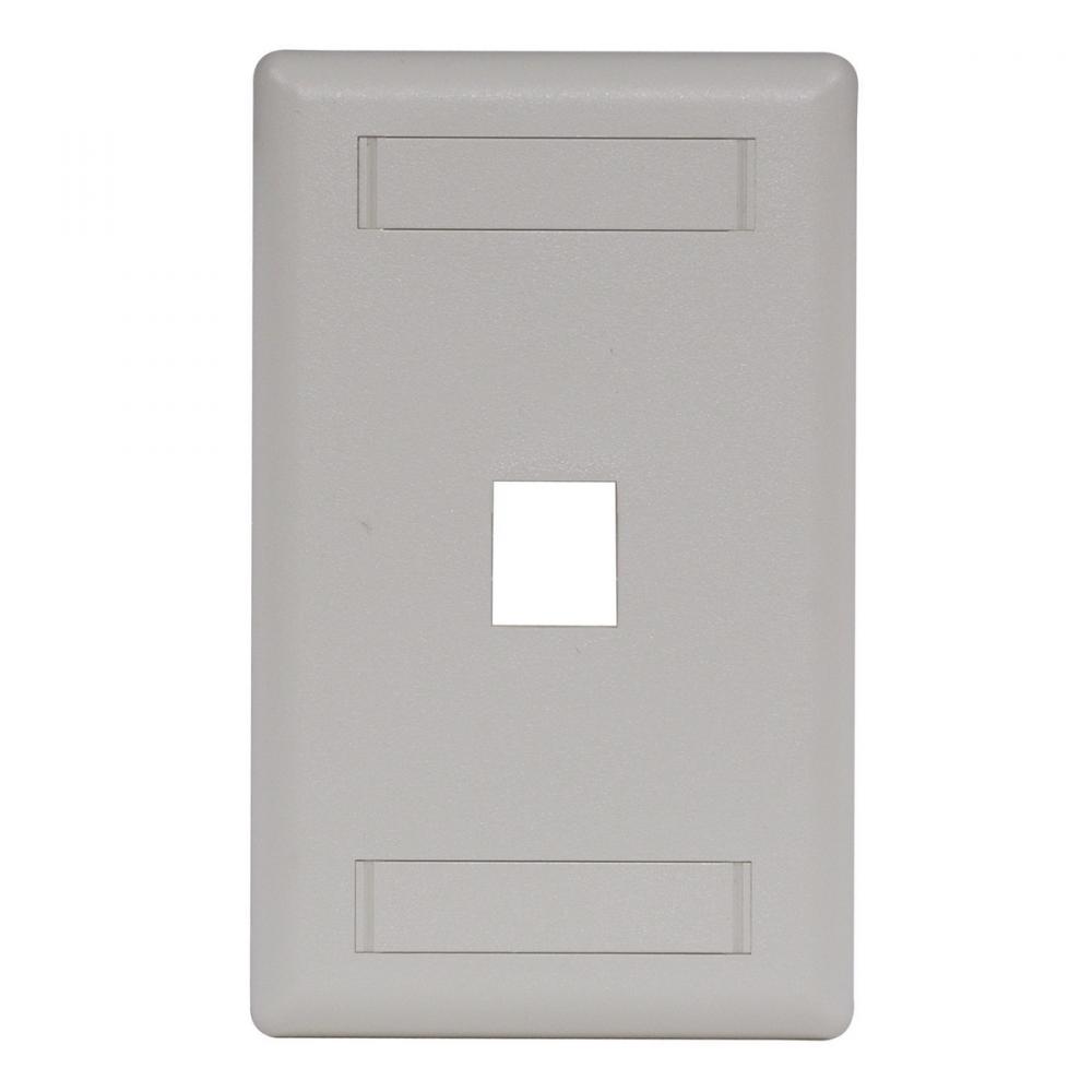 PLATE, WALL,FLUSH,1-G,1PORT,OW