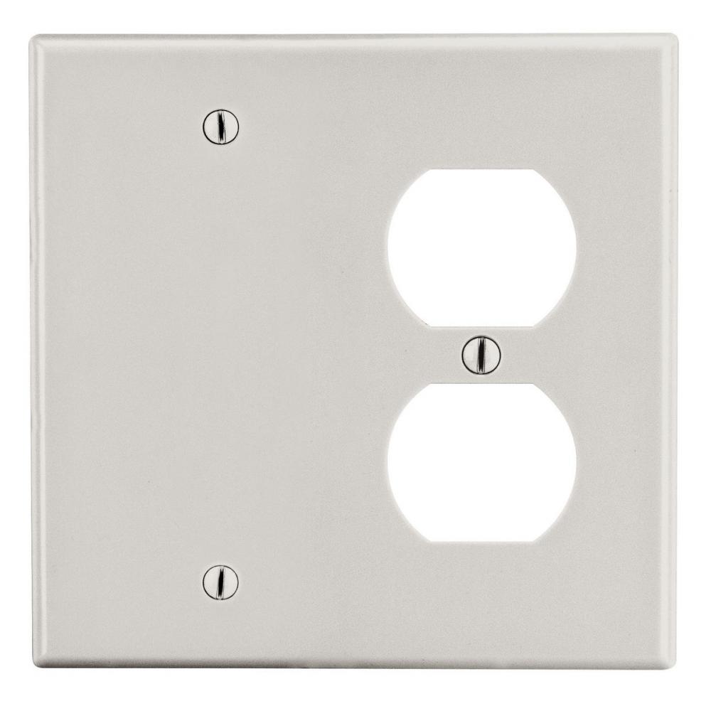 WALLPLATE, 2-G, 1) DUP 1) BLANK, LA