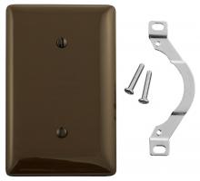 Bryant Electric, a Hubbell affiliate NP14 - WALLPLATE, 1-G, STRP MT BLANK, BR