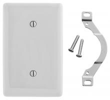 Bryant Electric, a Hubbell affiliate NP14OW - WALLPLATE, 1-G, STRP MT BLANK, OW