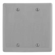 Bryant Electric, a Hubbell affiliate NP23GY - WALLPLATE, 2-G, 2 BOX MT BLANK, GY