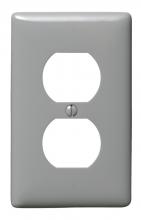 Bryant Electric, a Hubbell affiliate NP8GY - WALLPLATE, 1-G, 1) DUP, GY