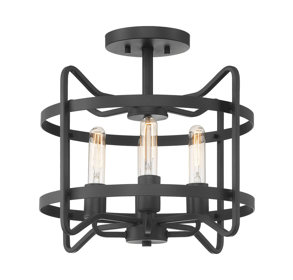 Kent 4-Light Ceiling Light in 
Matte Black