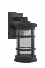 Craftmade ZA2314-TB-C - Resilience Large Outdoor Lantern in Textured Black, Clear Lens