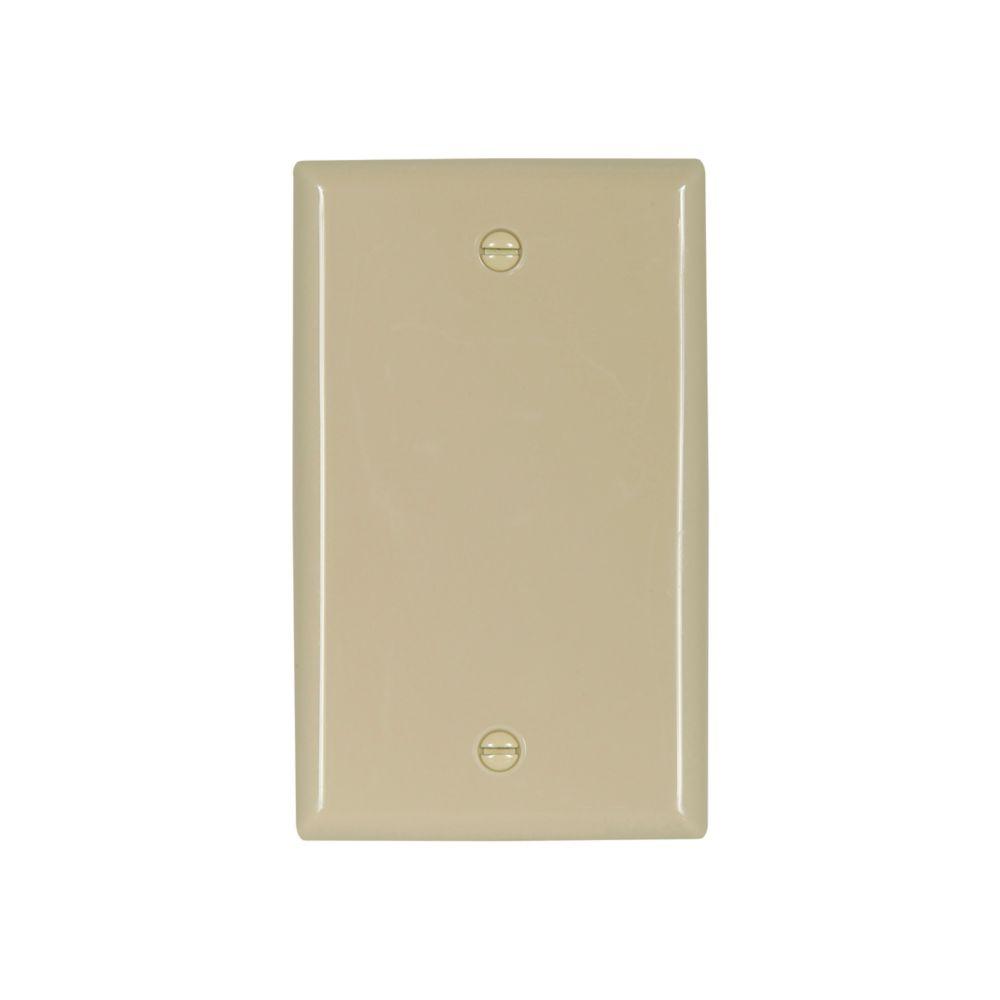 Wallplate 1G Blank Box Mnt Nylon Std IV