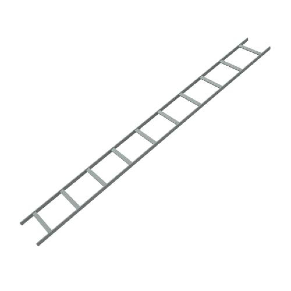 CABLE LADDER 12W 10FT LG