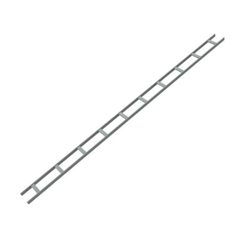 CABLE LADDER 6W 10FT LG