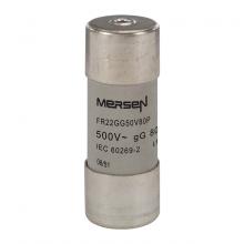 Mersen F216159 - Cylindrical fuse-link gG 22x58 IEC 500VAC 80A Wi