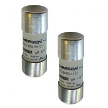 Mersen G1018561 - High-Speed Cylindrical Fuse 22x58 gR 690VAC 125A