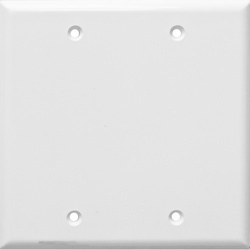 Lexan Wall Plates 2 Gang Blank White