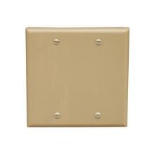 Morris 81520 - Lexan Wall Plates 2 Gang Blank Ivory