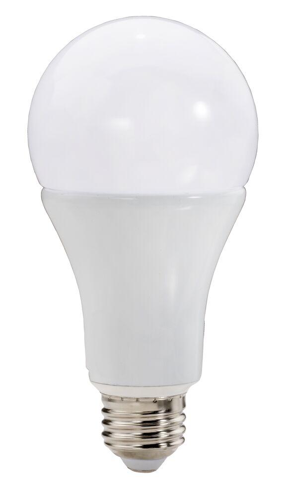 4/48PK 15W(100) A21 ECO 3000K NON-DIMMABLE