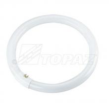 Southwire FC12T9CW-39 - 12PK 32W 12" COOL WHITE T9 CIRCLINE