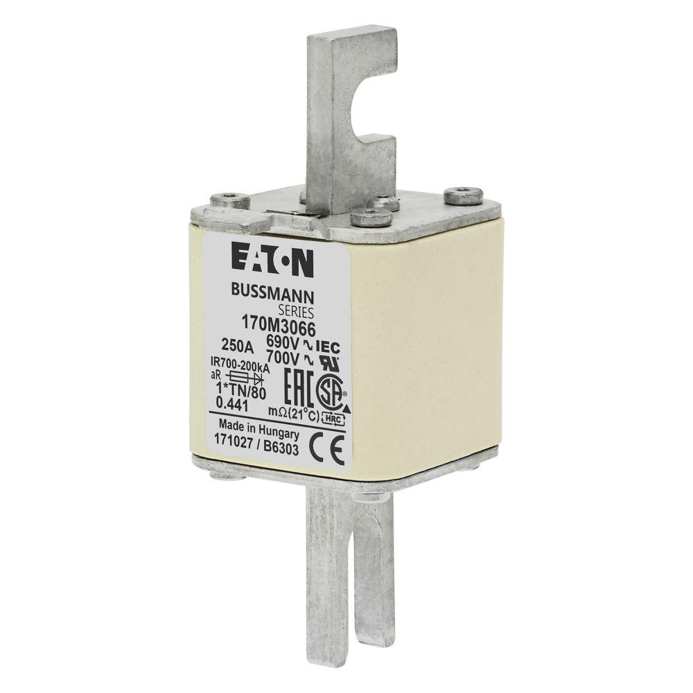 FUSE 250A 690V 1*TN/80 AR UC