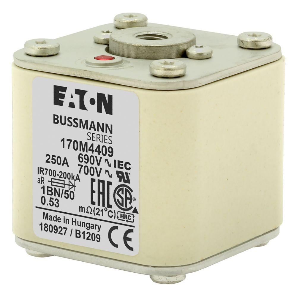 FUSE 250A 690V 1BN/50 AR UC