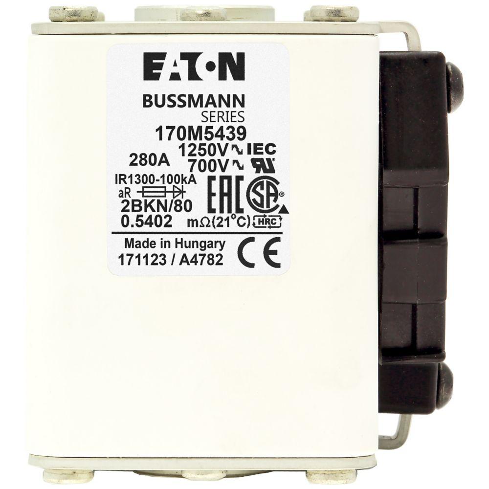 FUSE 315A 1250V 2BKN/80 AR CU