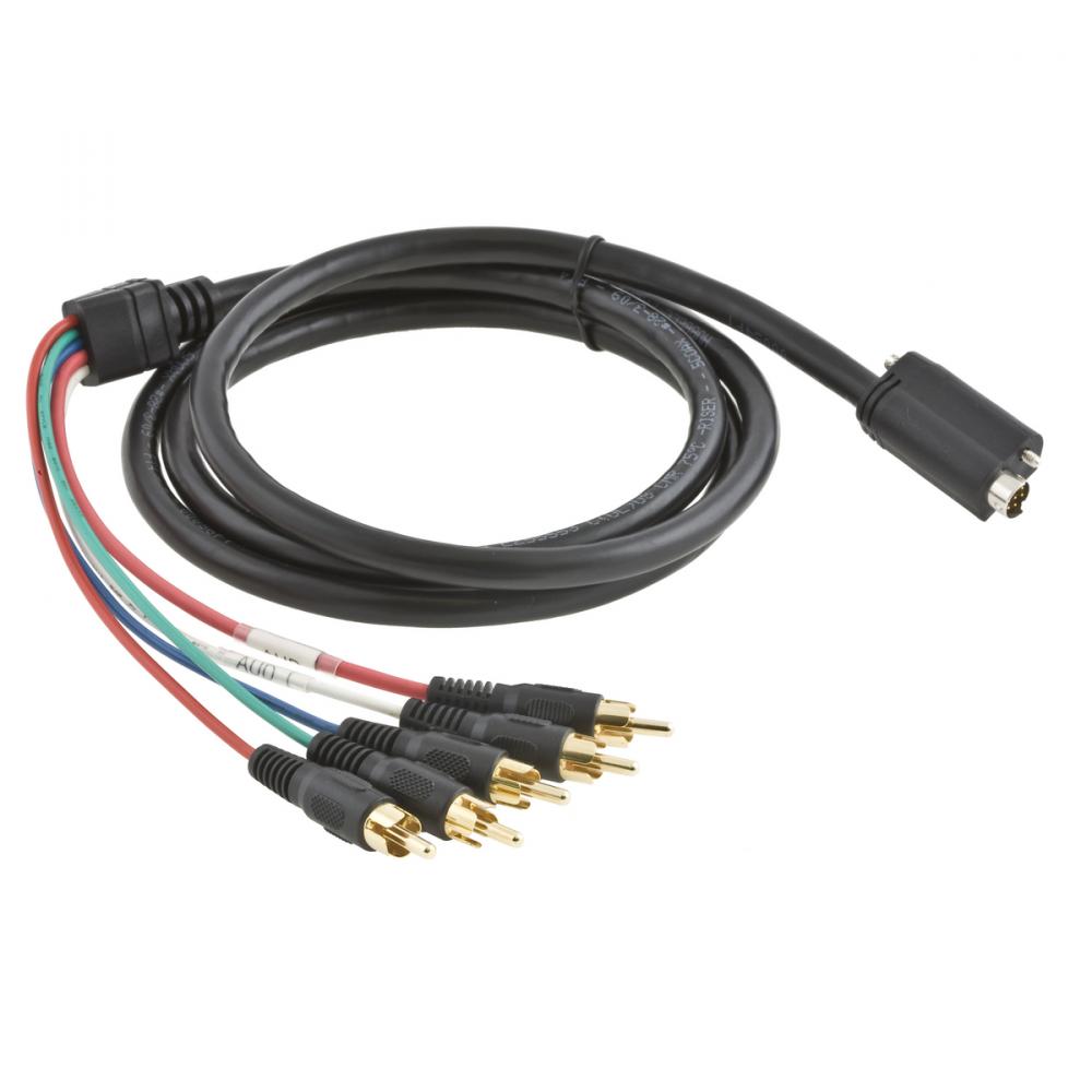 P-CORD, AV PNP,3RCACOMP,SVID M,8PN M,10&#39;