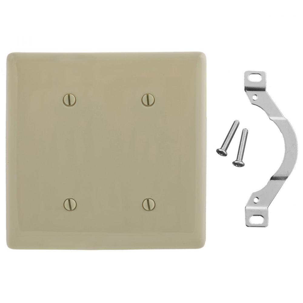 WALLPLATE, 2-G, 2 STRP MT BLANK, IV