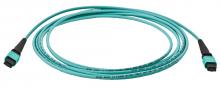 Hubbell Premise Wiring FPCPMTP50G3M730FN - FBR,CORD,P,12F,OM3,MTP,TYP-A,730FT,NPE