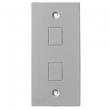 Hubbell Premise Wiring KP2162GY - KP 2 JACKS, GRAY