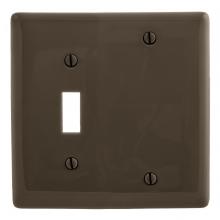 Hubbell Premise Wiring NP113 - WALLPLATE, 2-G, 1) TOG 1) BLANK, BR