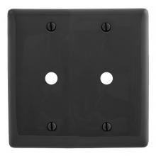 Hubbell Premise Wiring NP21BK - WALLPLATE, 2-G, 2) .406" OPNG, BK