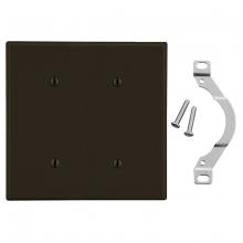 Hubbell Premise Wiring P24 - WALLPLATE, 2-G, 2) STRP MT BLANK BR