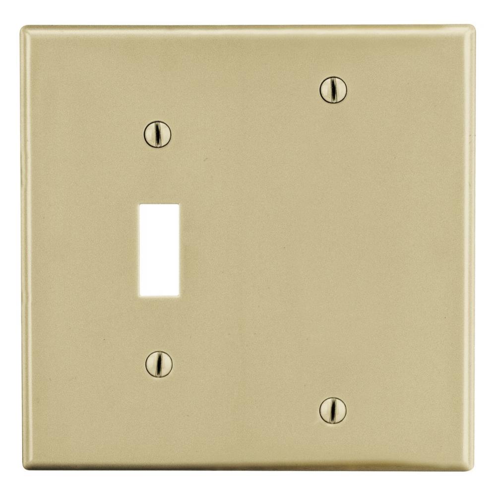 WALLPLATE, 2-G, 1) TOG 1) BLANK, IV