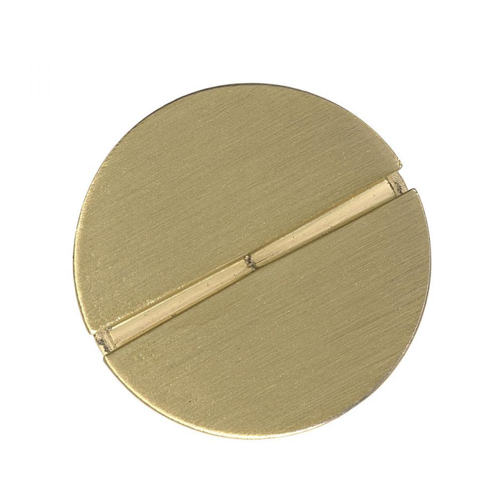 S1R 1 INCH FF REPLACEMENT PLUG, BRASS