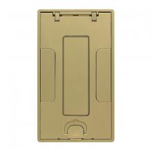 Hubbell Wiring Device-Kellems 24GTCVRBRSC - 2/4G TILE CVR, INSERT, BRASS POWDER