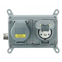 Hubbell Wiring Device-Kellems MLWF2020 - 4X PSDA, 2-G, 20A/125V TWIST-LOCK