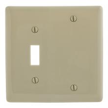 Hubbell Wiring Device-Kellems NP113I - WALLPLATE, 2-G, 1) TOG 1) BLANK, IV