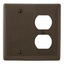 Hubbell Wiring Device-Kellems NP138 - WALLPLATE, 2-G, 1) DUP 1) BLANK, BR