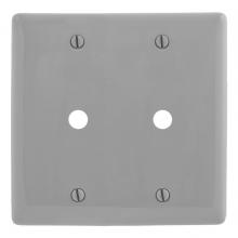 Hubbell Wiring Device-Kellems NP21GY - WALLPLATE, 2-G, 2) .406" OPNG, GY