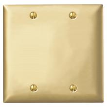 Hubbell Wiring Device-Kellems SB23 - WALLPLATE 2-G, BLANK, BRASS