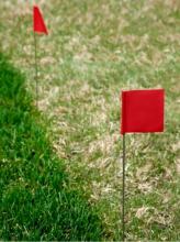 Minerallac 94690 - Red Stake Flag 2-1/2 X 3-1/2