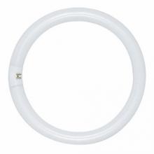 Satco S6500 - FC8T9/CW 22 WATT COOL WHITE