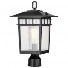 Satco 60/5953 - COVE NECK 1LT OUTDOOR LG POST