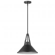 Satco 60/7645 - ZELDA 1LT PENDANT BLACK