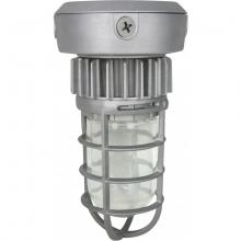 Satco 65/079 - LED VAPOR PROOF CEILING MNT