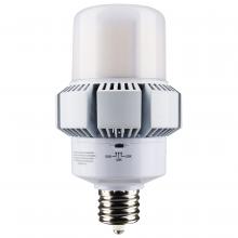 Satco S13167 - 65W/AP37/LED/CCT/100-277V/EX39