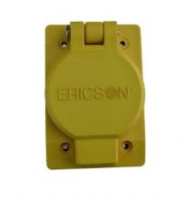Ericson 2920-FS32 - SGLFLIP LID FML RECT FS COVERPLATE  NON-
