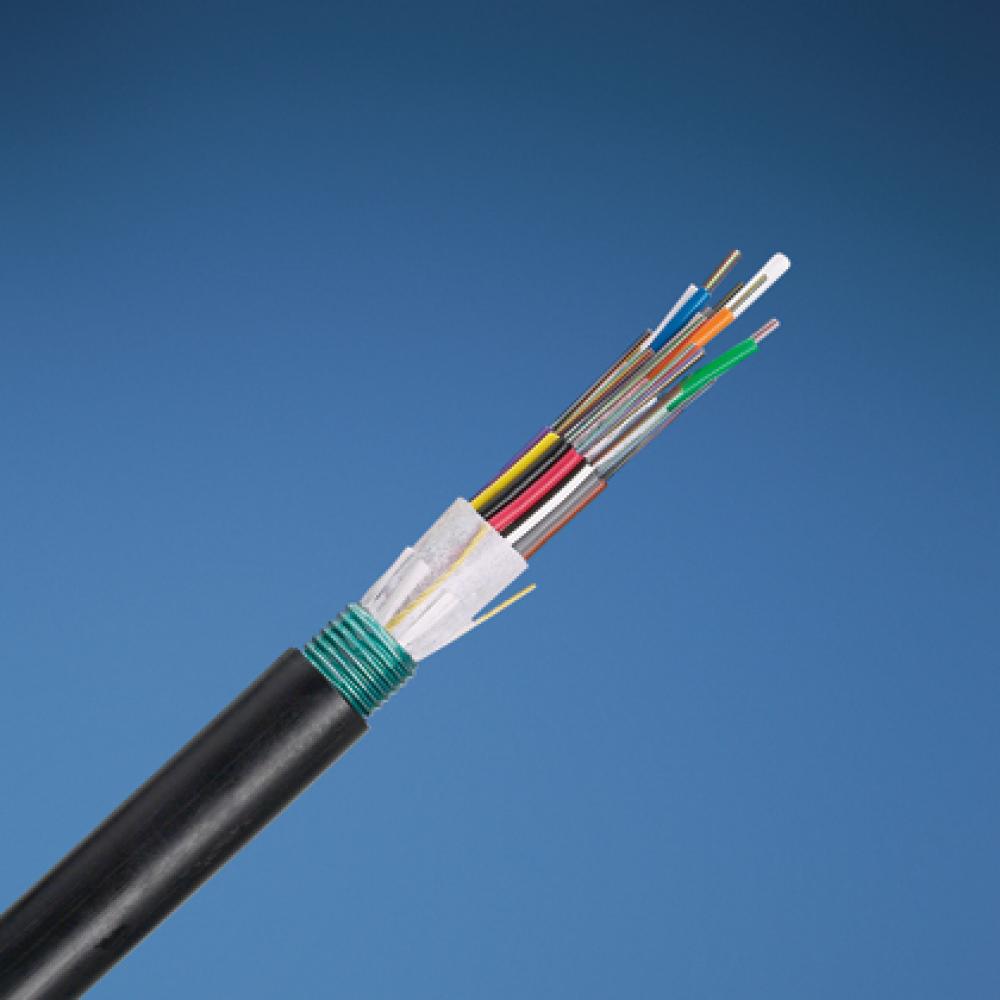 36-fiber OM4 10 GbE multimode non-rated