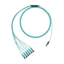 Panduit FXTRP7NQSONF018 - OM3,12-Fiber,RndHarness,PLEM,18ft