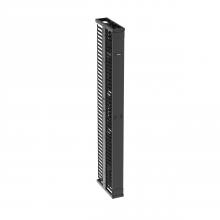 Panduit PR2VSD06 - PR2V Vertical Dual-Sided Manager, 1 Door, 45RU,