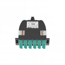 Panduit FC2ZN-24-10AF - OptiCom® MPO-LC Fiber Cassette OM4, 24 Fiber, M