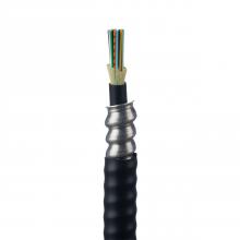 Panduit FSLP912 - 12 Fiber Cable, OS2, Indoor/Outdoor Armored TB,