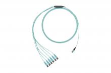 Panduit FZTRL7NQSONM006 - OM4,12-Fiber,RndHarness,LSZH,6M