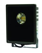 TPI DKLLED37 - 37W LED Modular Light, 120V